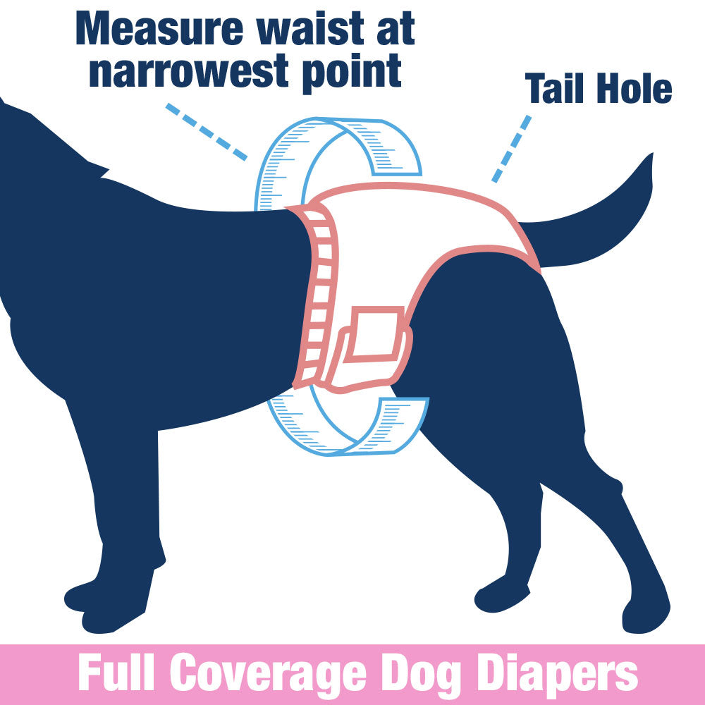 ValueFresh Female Dog Disposable Diapers, X-Small, 288 Count BULK PACK - Full Coverage w/Tail Hole, Snag-Free Fasteners, Leak Protection, Wetness Indicator 