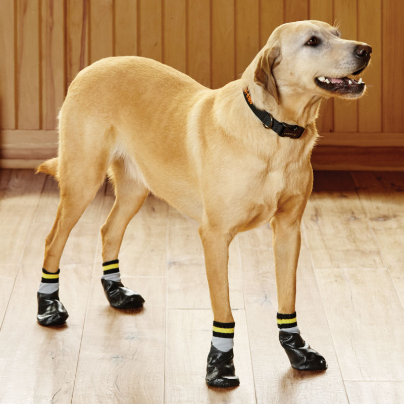 Dog No-Slip Traction Socks