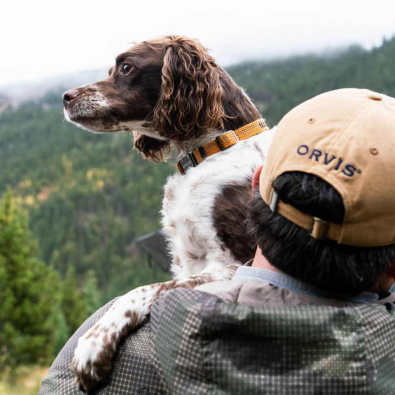 Tough Trail Dog Collar and Leash