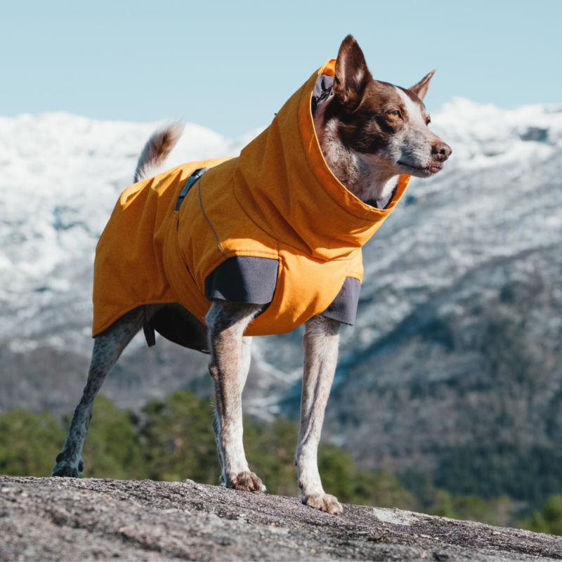 Hurtta Expedition Dog Parka